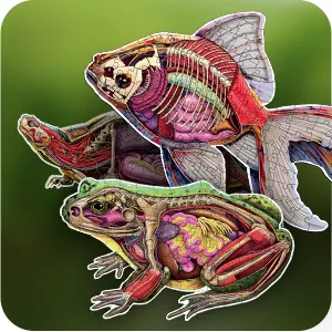 Genius Games Turn N Learn Fantail Goldfish Bodenpuzzle 100 Teile doppelseitig
