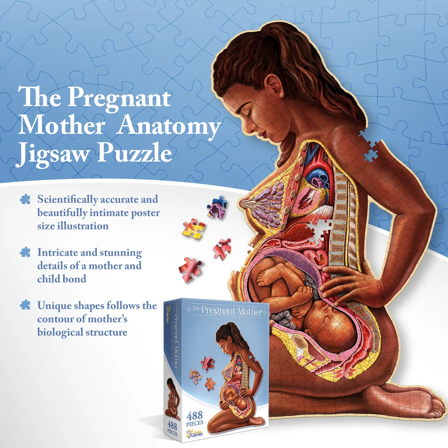 Genius Games Schwangere Mutter Anatomie Puzzle 488 Teile Poster