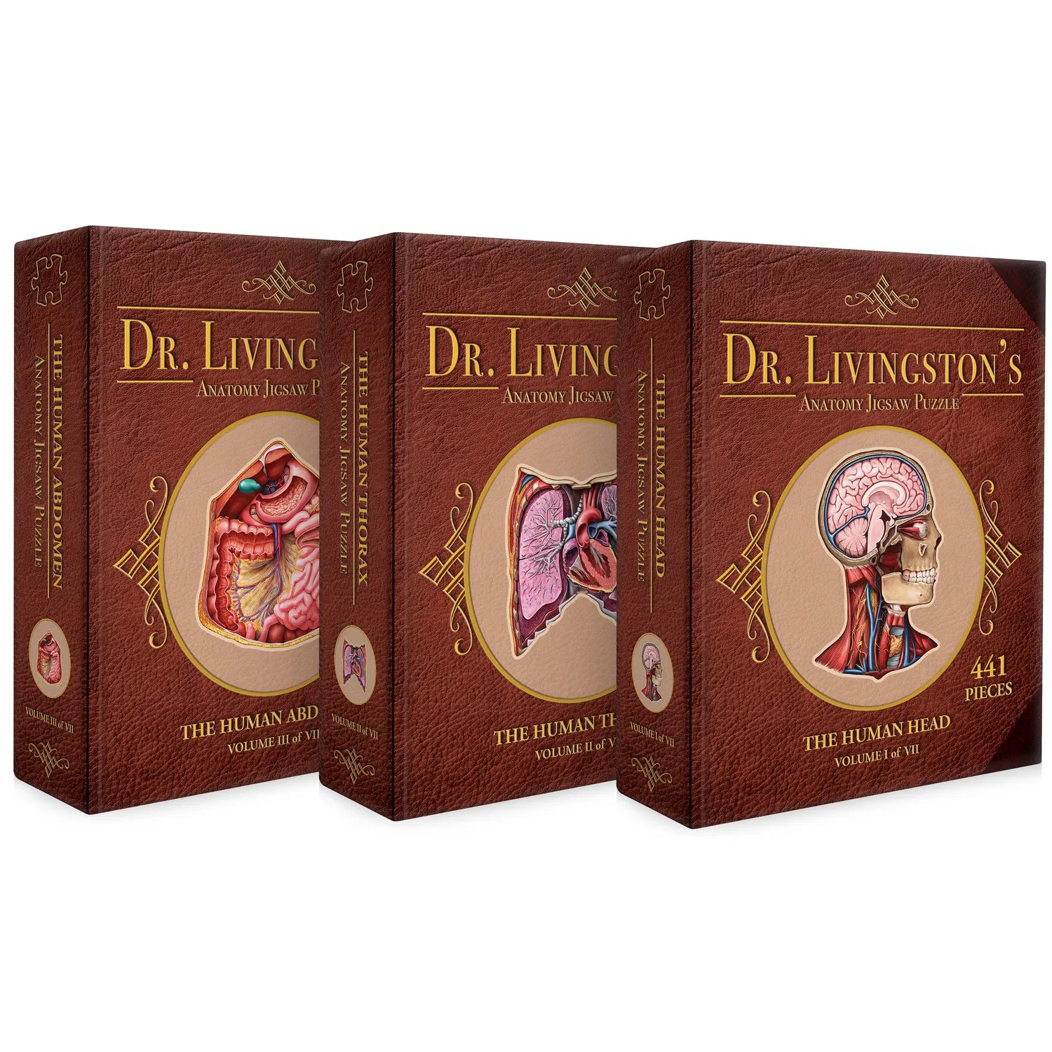 Genius Games Dr Livingston Anatomie Puzzle Set Kopf Brust