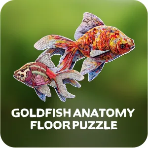 Genius Games Turn N Learn Fantail Goldfish Bodenpuzzle 100 Teile doppelseitig