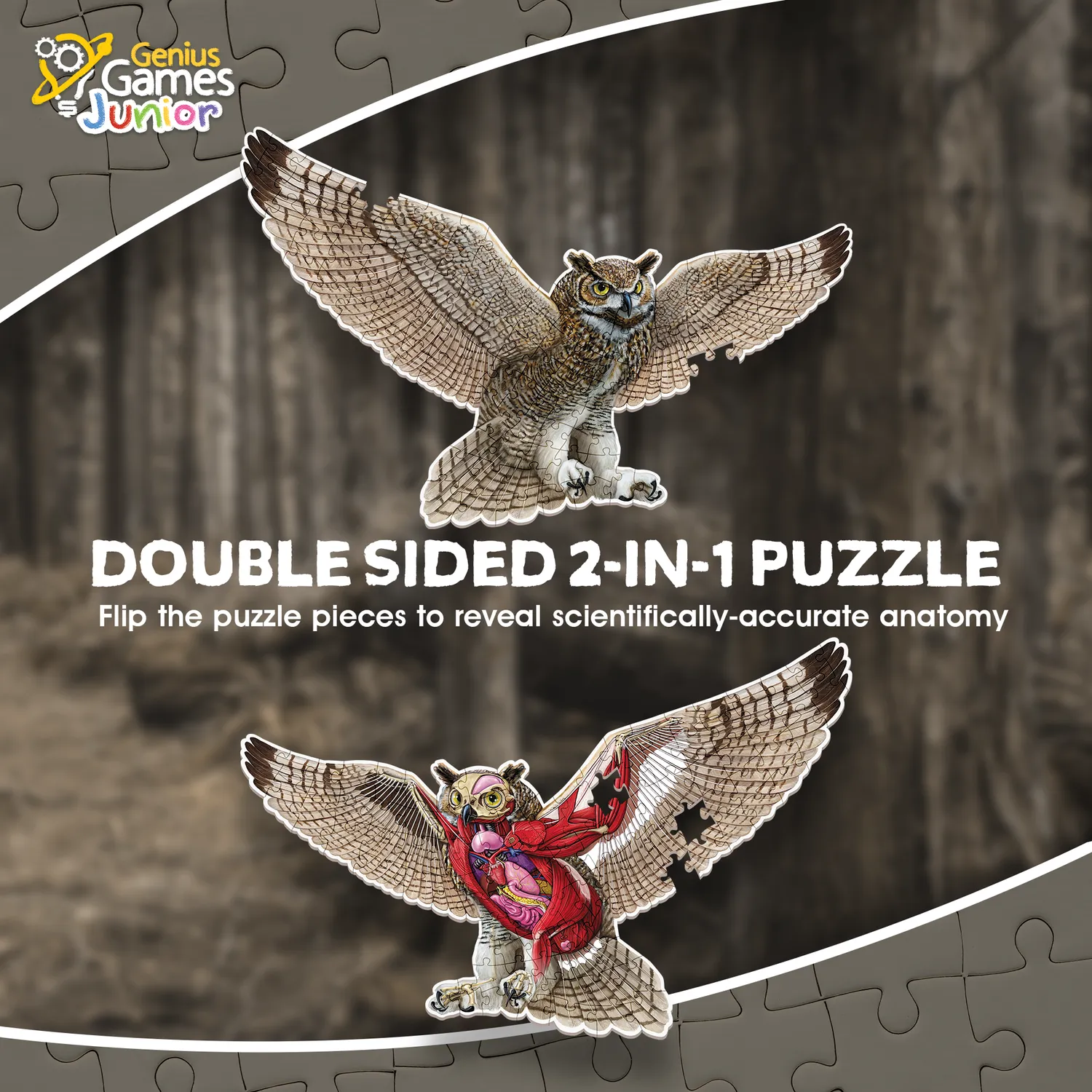 Genius Games Turn N Learn Eule Bodenpuzzle 100 Teile doppelseitig