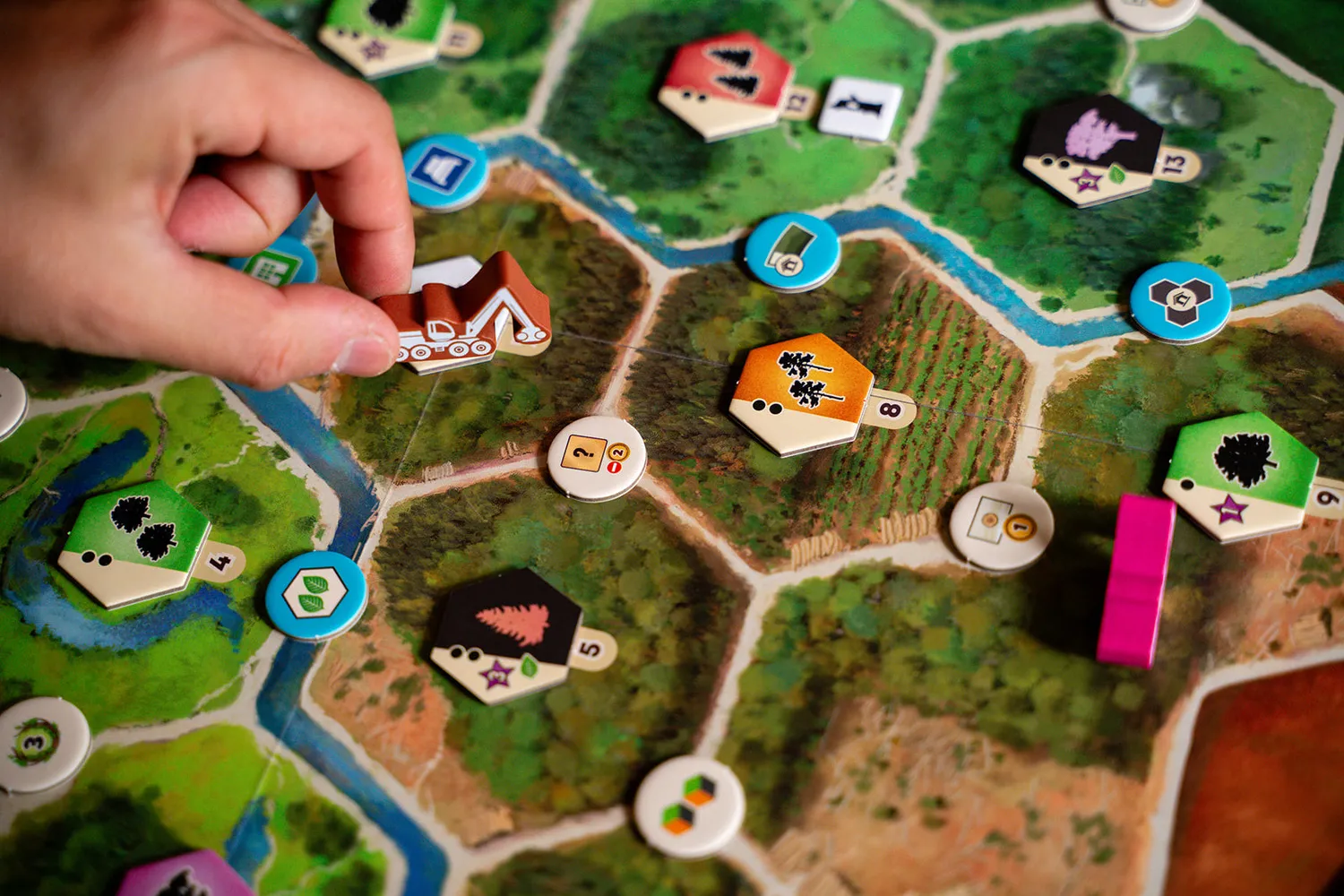 Capstone Games Forestry Brettspiel Strategiespiel