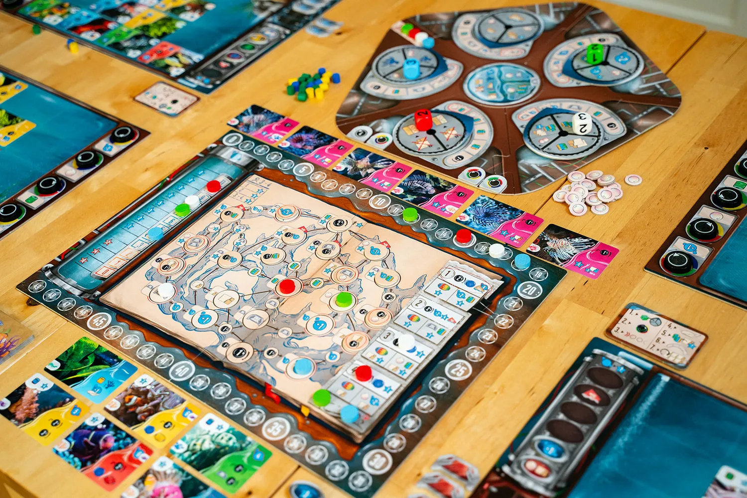 Capstone Games Aquaria Brettspiel Aquarium-Strategie