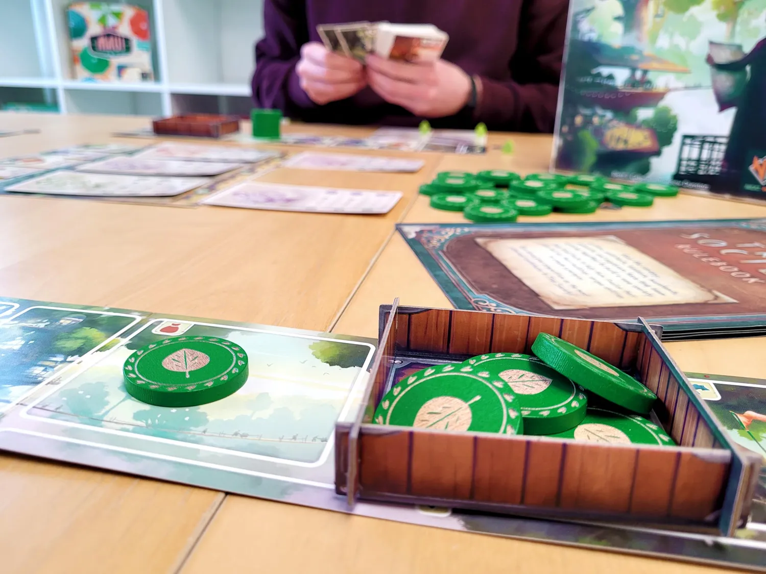 Asmodee Tree Society Familienspiel Deutsch Gilden