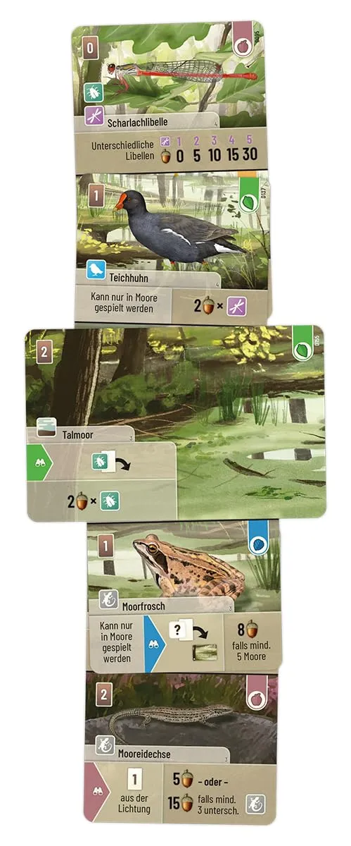 Asmodee Mischwald Dartmoor Grundspiel Kennerspiel deutsch